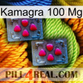 Kamagra 100Mg 14